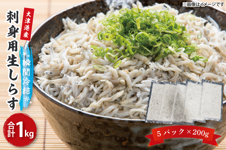 【訳あり】瞬間冷結！刺身用生しらす【大津港産】（AA212）