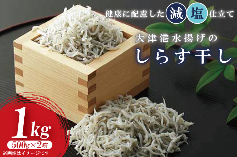 大津港水揚げのしらす干し　1kg(500ｇx２箱)(AS206)