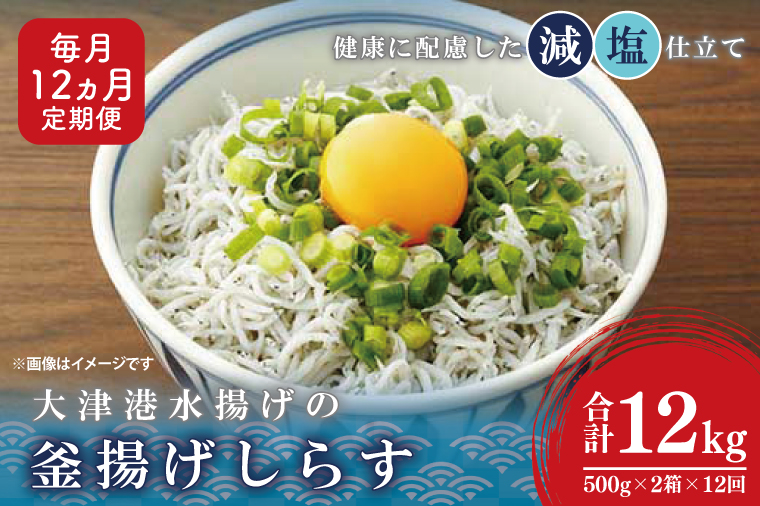 大津港水揚げの釜揚げしらす＜12ヶ月定期便＞＜毎月＞　1kg×12回【海鮮 魚介類 しらす シラス ご飯のお供 たっぷり お手頃 個包装】(AS215)