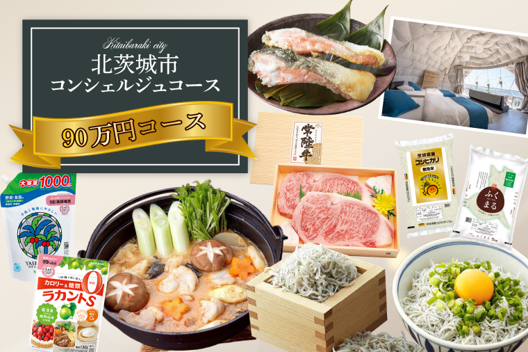 【提案型】コンシェルジュコース（90万円）(BM105)