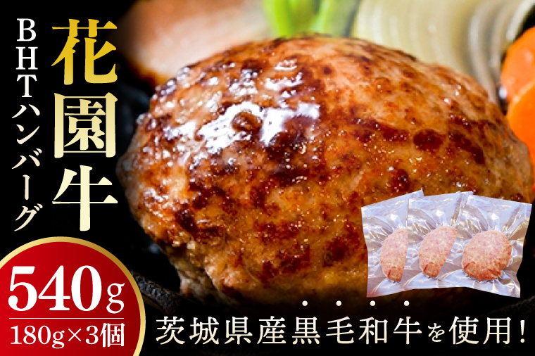 花園牛　BHTハンバーグ 180ｇ×3個【ハンバーグ 肉 お肉 贅沢 冷凍 茨城県 北茨城市】(BY002)