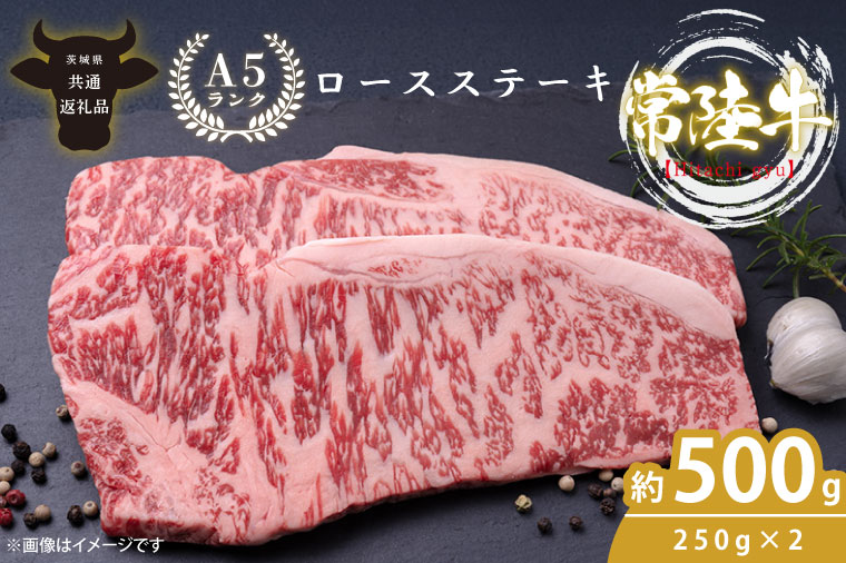 最高級A4.A5ランク 常陸牛ロースステーキ500ｇ（250ｇ×2）【人気肉 お肉 牛肉 和牛 黒毛和牛 国産黒毛和牛 ロース肉 ステーキ 国産牛 焼肉 焼き肉 バーベキュー BBQ A5 ブランド牛】(CR101)