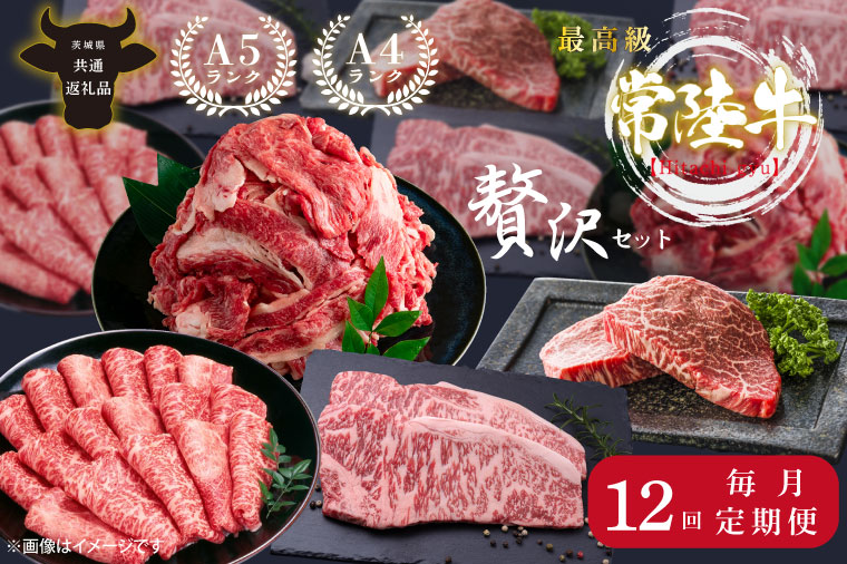 【12回定期便】最高級A4.A5ランク 常陸牛贅沢セット【人気肉 お肉 牛肉 和牛 黒毛和牛 国産黒毛和牛 ロース肉 ステーキ 国産牛 焼肉 焼き肉 バーベキュー BBQ A5 ブランド牛】（CR114）