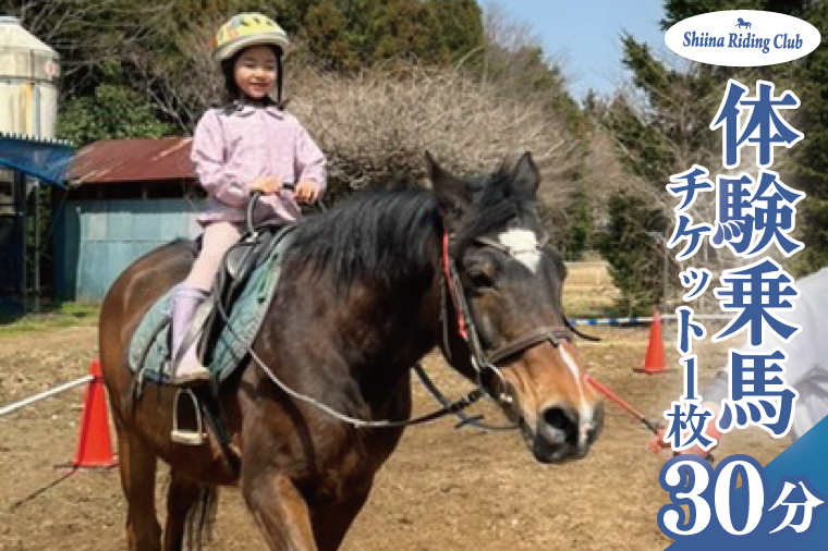 Shiina Riding Club　乗馬体験30分【茨城県 北茨城市 アクティビティ おでかけ レンタル 体験 チケット 馬】（DA001）