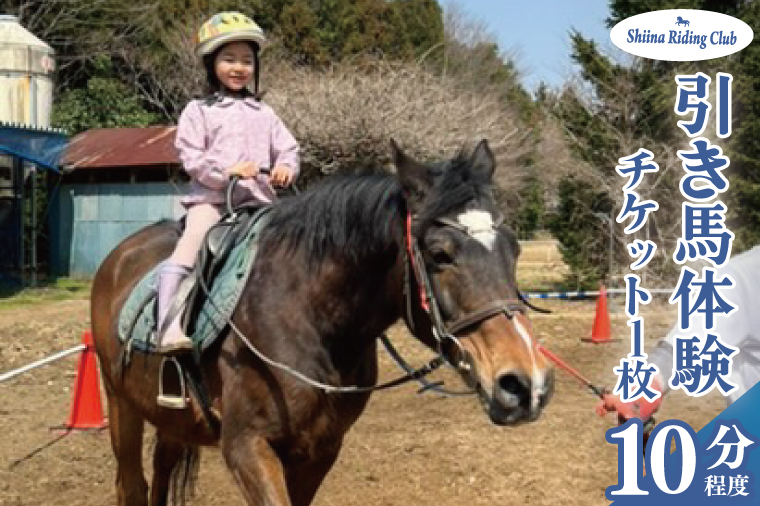Shiina Riding Club　引き馬体験10分程度【茨城県 北茨城市 アクティビティ おでかけ レンタル 体験 チケット 馬】（DA002）