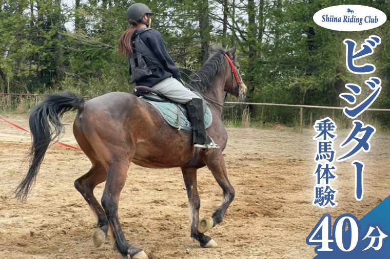 Shiina Riding Club　ビジター乗馬体験40分【茨城県 北茨城市 アクティビティ おでかけ レンタル 体験 チケット 馬】（DA003）