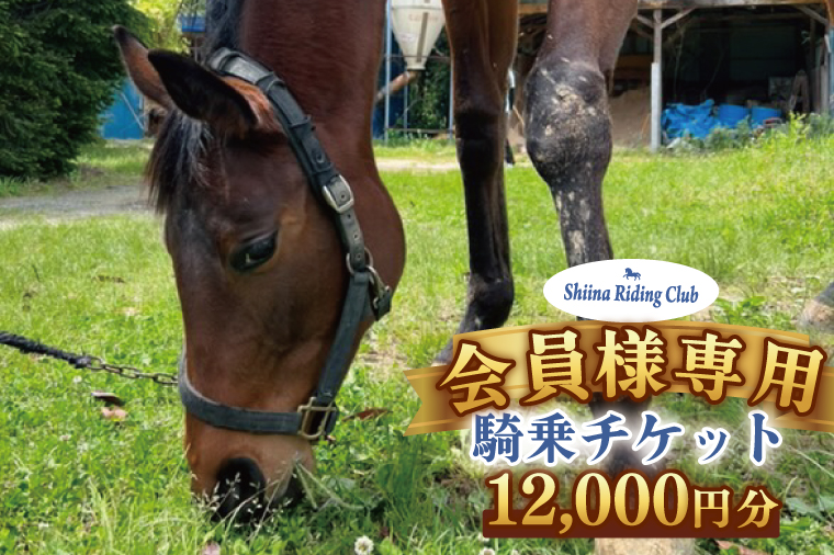 Shiina Riding Club　会員様が使える騎乗チケット（12,000円分）【茨城県 北茨城市 アクティビティ おでかけ 体験 チケット 馬 乗馬】（DA004）