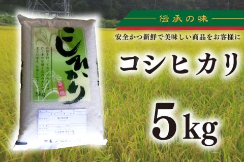 【令和7年産】コシヒカリ　5kg【安心 美味しい お米 おにぎり 茨城県 北茨城市】(BD102)
