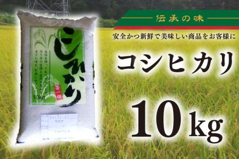 【令和7年産新米】コシヒカリ　10kg【新米 安心 美味しい お米 おにぎり 茨城県 北茨城市】(BD103)