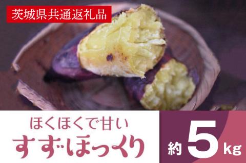 ホクホクで甘いさつまいも すずほっくり5kg（茨城県共通返礼品・行方市産）(AK205)