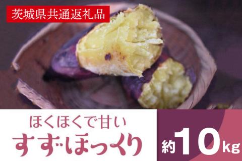 ホクホクで甘いさつまいも すずほっくり10kg（茨城県共通返礼品・行方市産）(AK206)