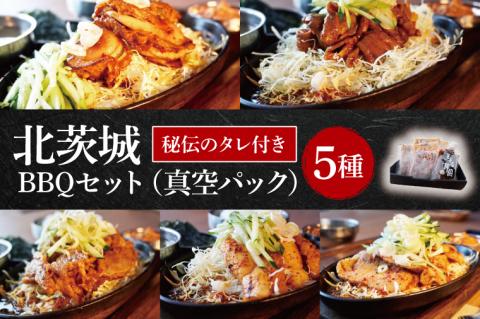 北茨城BBQセット【バーベキュー お肉 海鮮 ファミリー グループ セット】(BE205)