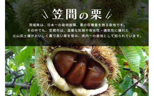 ☆ なるえ☆ 茨城県 笠間の栗 むき栗 500g No.6 かさまの熟成栗(むき栗