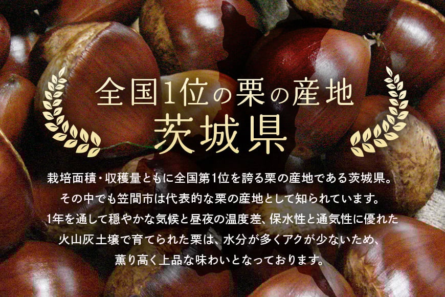 超特選！ 熟成させた 笠間の焼栗 愛宕山 冷蔵 600g 栗 くり クリ 焼き栗 電子レンジ レンジ調理 焼栗 きんとん 果物 デザート 栗ご飯 栗ごはん フルーツ 秋の味覚 スイーツ 熟成栗 和スイーツ プレゼント 贈答用 秋の味覚 甘栗 おやつ 茨城 国産 笠間市