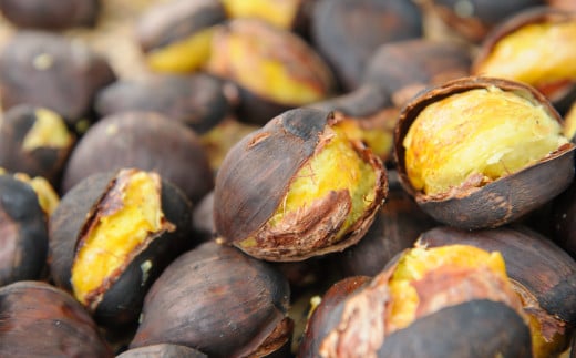 熟成させた「笠間の焼栗」愛樹マロン 超特選 1箱（300g×2パック） 焼栗 焼き栗 栗 国産 個包装 くり 和栗 ギフト プレゼント 秋 旬 おやつ スイーツ 果物 フルーツ 茨城県 笠間市 【7月5日まで受付・12月～7月順次発送予定】