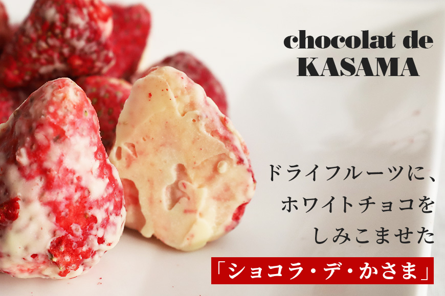 Chocolat de かさま おかしな果実ショコラ 完熟とちおとめの詰め合わせ