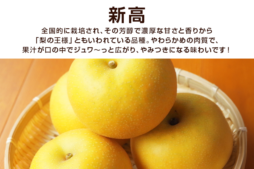 柴沼梨園の梨（新高） 梨 3kg 大玉 4～9個入り ナシ なし 国産 茨城 新高梨 秋 旬 フルーツ 果物 先行予約【9月下旬～10月上旬発送】秋の味覚 旬の果物 くだもの 大きい サイズ 品種 新高 産地 茨城県産 家庭用 梨園直送 茨城県 笠間市