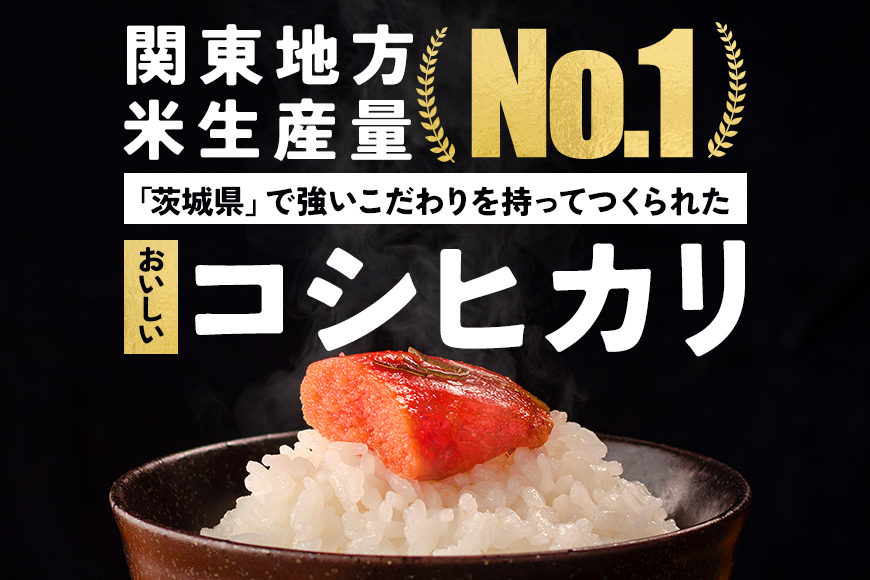【6カ月定期便】 令和7年度 笠間産 コシヒカリ 5kg (5kg×6回 計30kg) 精米 定期便 米 白米 こめ コメ ご飯 ごはん 農家直送 産地直送 国産 茨城県 笠間市 青木商店 【3月末まで受付】