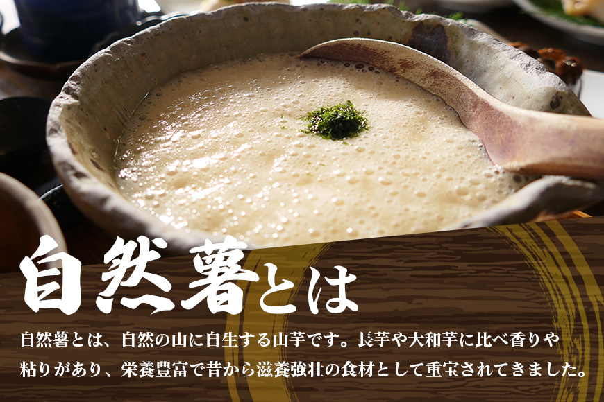 笠間自然薯研究会の自然薯 約1kg 長芋 とろろ とろろご飯 野菜 ねばねば 健康食品 美容効果 笠間市産 茨木県産 栄養たっぷり ギフトに最適 新鮮 国内生産 高級根菜 美容と健康に 美味しい 有機栽培 オーガニック 産地直送 滋養強壮