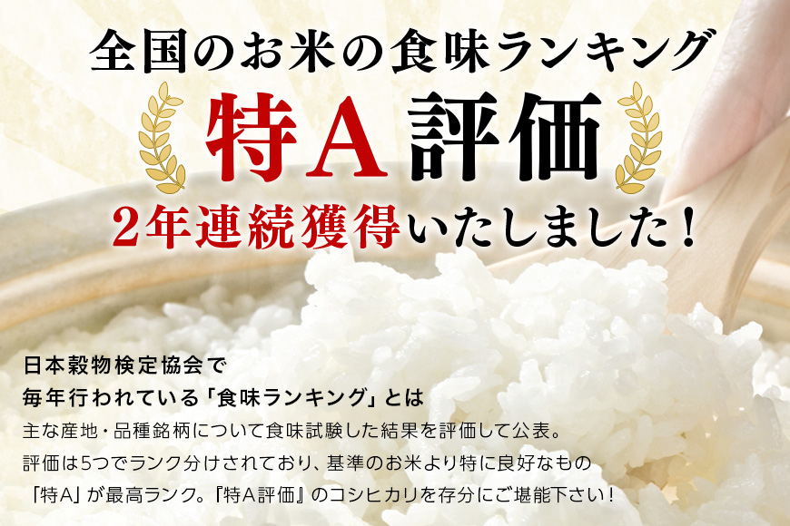 令和7年産 新米 コシヒカリ 米 5kg 白米 こめ こしひかり 国産 国産米 取り寄せ ごはん ご飯 コメ お取り寄せ お弁当 弁当 おにぎり 産地直送 特産  ギフト プレゼント 贈り物 茨城県 笠間市 いばらき