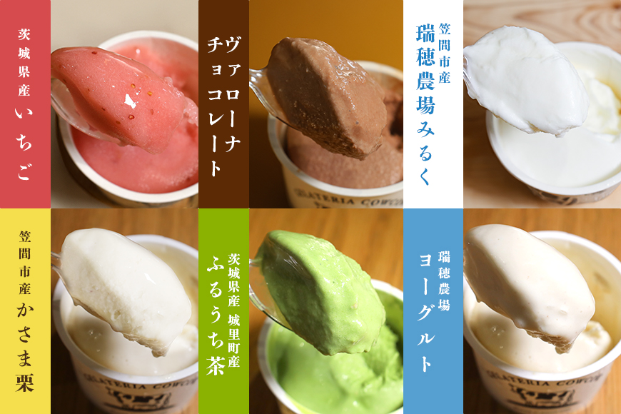 笠間市 ジェラート 6種詰め合わせ 12個セット 道の駅かさま