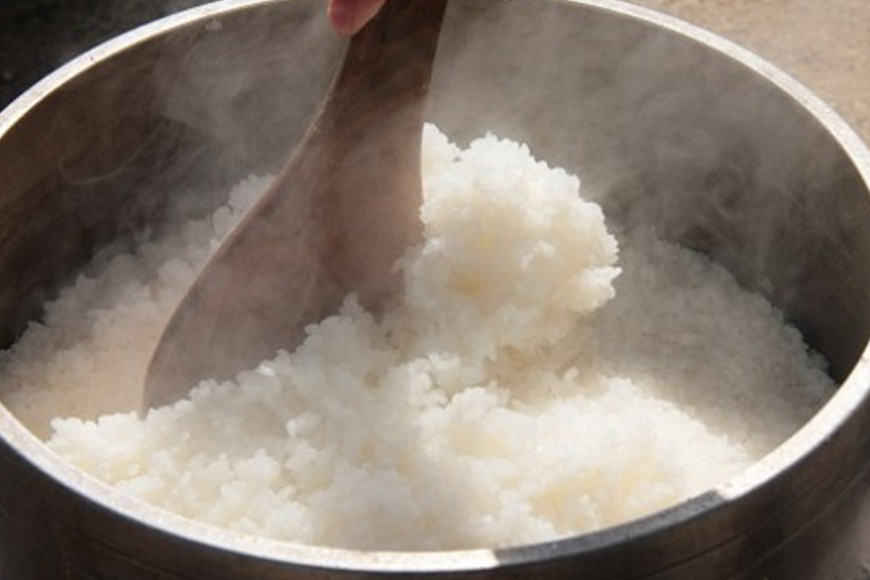 令和7年度 農薬不使用｜蛍の里山こしひかり 白米5kg コシヒカリ 米 こしひかり 精米 ブランド米 お米 白米 5kg 国産 贈答 ギフト おにぎり 弁当 R7年産 ごはん おいしい 旨い ふっくら お米 茨城県 笠間市 いばらき