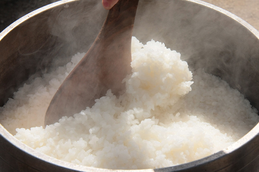 令和7年度 極上ランク 蛍の里のこしひかり 白米10kg(5kg×2袋) 黒米300g セット コシヒカリ 米 こしひかり 精米 ブランド米 お米 白米 10kg 黒米 300g 国産 贈答 ギフト おにぎり 弁当 R7年産 ごはん おいしい 旨い ふっくら お米 茨城県 笠間市 いばらき