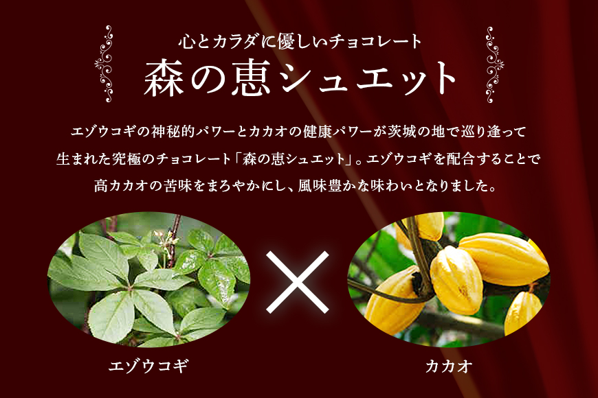 グッドヘルシーチョコ「森の恵」ビター18枚入り　≪スクエア≫