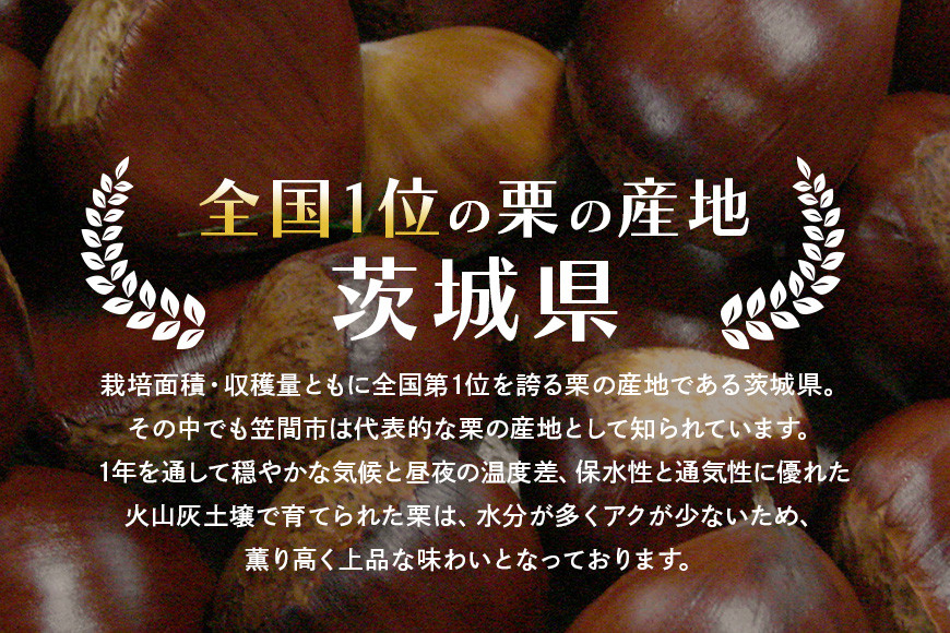 アカツファームの生栗 超特大 4Lサイズ 1kg 栗 笠間 栗 くり 生栗 特大 大きい 大粒 茨城 国産 国産栗 和栗 甘栗 栗ご飯 栗きんとん 栗おこわ 甘露煮 マロン 秋 旬 おやつ スイーツ きんとん 冷蔵 保存料不使用 無添加 ギフト 茨城県 笠間市