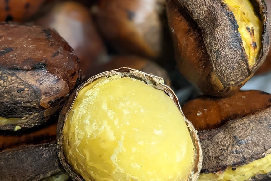 【数量限定・期間限定】笠間の栗・かねこ農園の焼き栗 200g×5袋 栗 クリ くり 焼栗 茨城県 笠間市 ＜12月31日まで受付＞