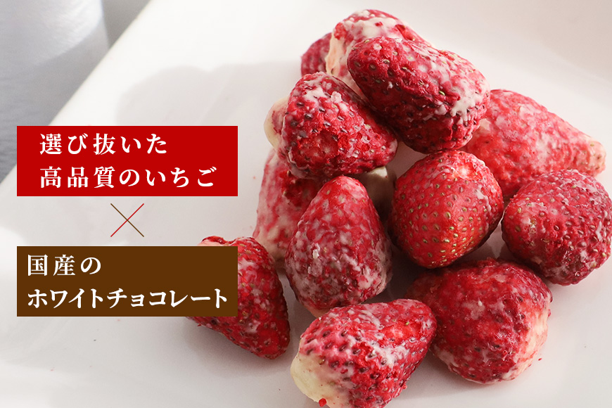 Chocolat de かさま おかしな果実ショコラ 完熟とちおとめの詰め合わせ