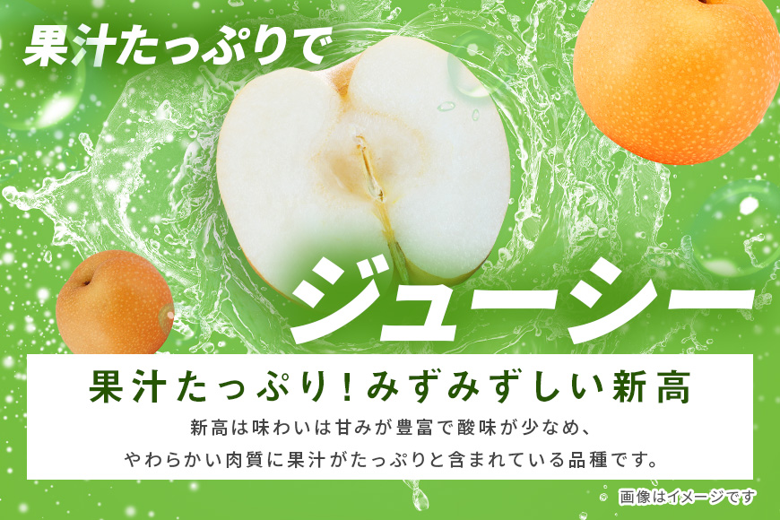 訳あり 柴沼梨園の梨（ 新高 ） 梨 5kg 大玉 6～14個入り 訳アリ 不揃い ナシ なし 国産 茨城 新高梨 秋 旬 フルーツ 果物 先行予約 【9月下旬～10月上旬発送】 秋の味覚 旬の果物 くだもの 大きい サイズ 品種 産地 茨城県産 家庭用 産地直送 茨城県 笠間市 BX-008