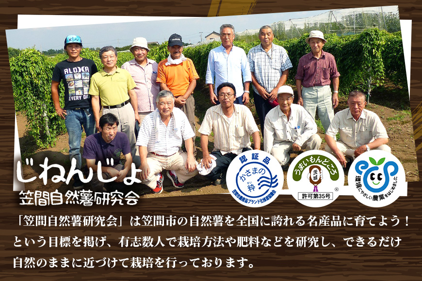 笠間自然薯研究会の自然薯カット 約600g 長芋 とろろ とろろご飯 野菜 ねばねば 健康食品 美容効果 笠間市産 茨木県産 栄養たっぷり ギフトに最適 新鮮 国内生産 高級根菜 美容と健康に 美味しい 有機栽培 オーガニック 産地直送 滋養強壮