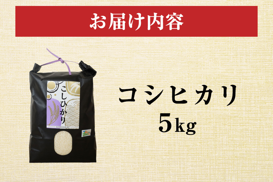 令和7年度産 笠間 塙商店の コシヒカリ 5kg 米 精米 ブランド米 お米 白米 国産 おにぎり 弁当 R7年産 ごはん おいしい 旨い ふっくら お米 茨城県 笠間市 いばらき