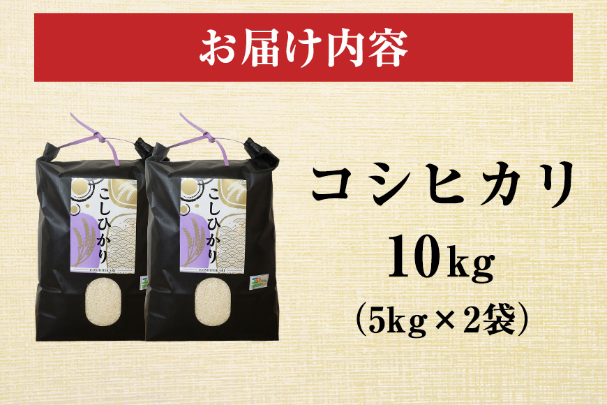 令和7年度産 笠間 塙商店の コシヒカリ 10kg（5kg×2） 米 精米 ブランド米 お米 白米 国産 おにぎり 弁当 R7年産 ごはん おいしい 旨い ふっくら お米 茨城県 笠間市 いばらき