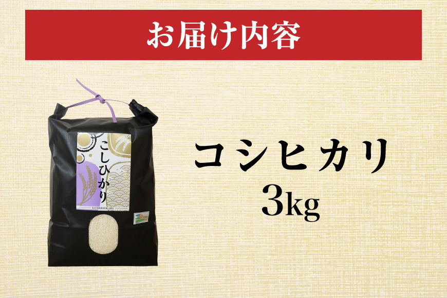 令和7年度産 笠間 塙商店の コシヒカリ 3kg 米 新米 精米 ブランド米 お米 白米 国産 おにぎり 弁当 R7年産 ごはん おいしい 旨い ふっくら お米 茨城県 笠間市 いばらき