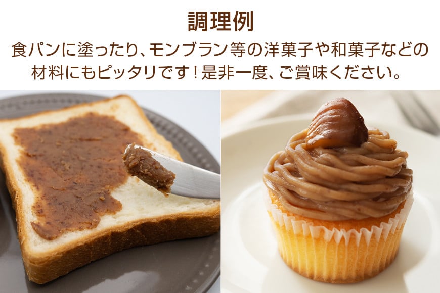 衣栗ペースト500g×1袋