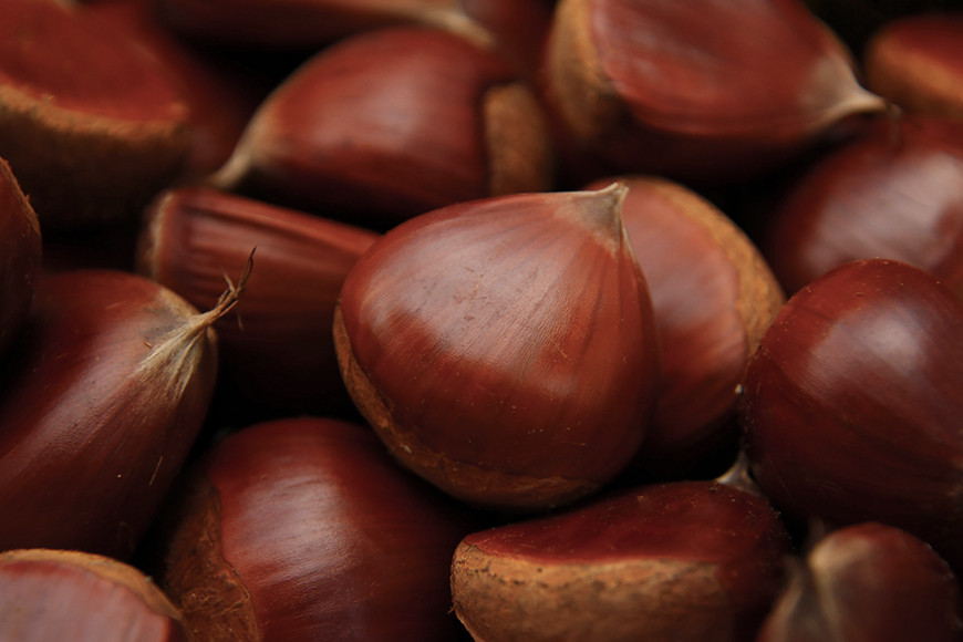 いわまの栗菓子「ぎゅ」BOX 3袋入り×4箱