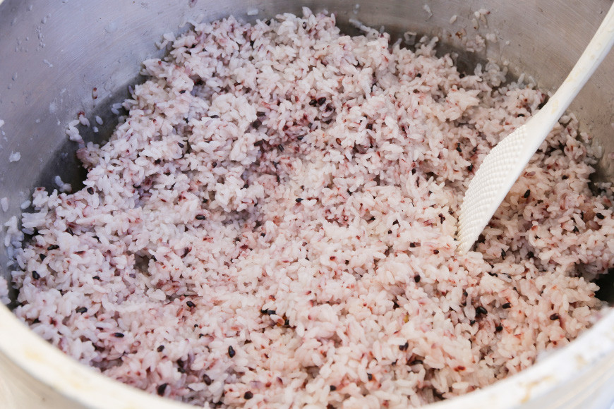 令和7年度 極上ランク 蛍の里のこしひかり 白米10kg(5kg×2袋) 黒米300g セット コシヒカリ 米 こしひかり 精米 ブランド米 お米 白米 10kg 黒米 300g 国産 贈答 ギフト おにぎり 弁当 R7年産 ごはん おいしい 旨い ふっくら お米 茨城県 笠間市 いばらき