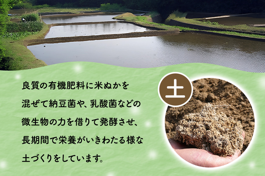 【6ヶ月定期便】令和7年度 殺虫剤・殺菌剤不使用｜こしひかり（5kg） 合計30kg 定期便 コシヒカリ 米 こしひかり 精米 ブランド米 お米 白米 5kg 国産 贈答 ギフト おにぎり 弁当 R7年産 ごはん おいしい 旨い ふっくら お米 茨城県 笠間市 いばらき