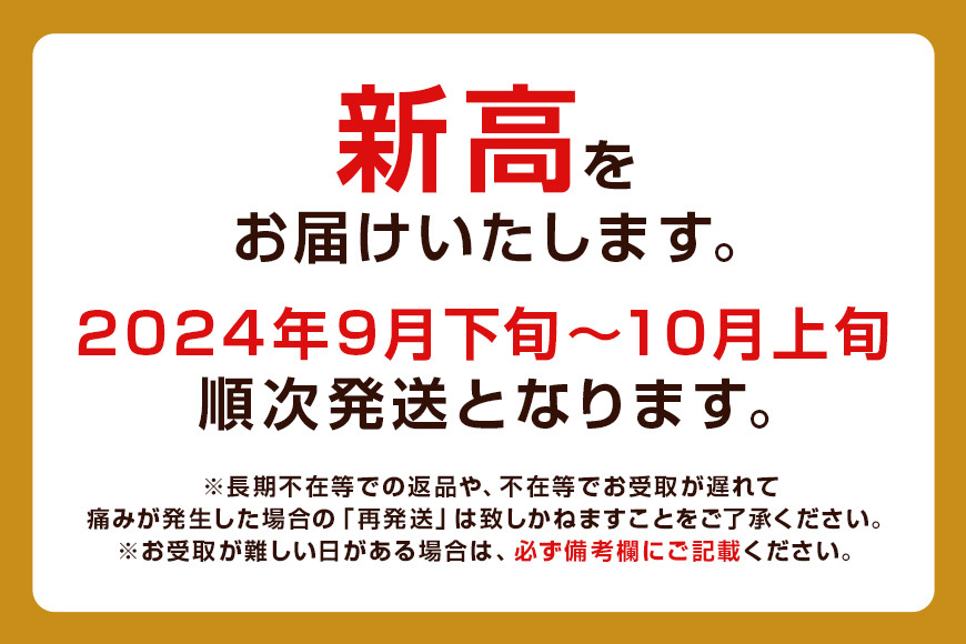 柴沼梨園の梨（新高） 梨 5kg 大玉 6～14個入り ナシ なし 国産 茨城 新高梨 秋 旬 フルーツ 果物 先行予約【9月下旬～10月上旬発送】秋の味覚 旬の果物 くだもの 大きい サイズ 品種 新高 産地 茨城県産 家庭用 梨園直送 茨城県 笠間市