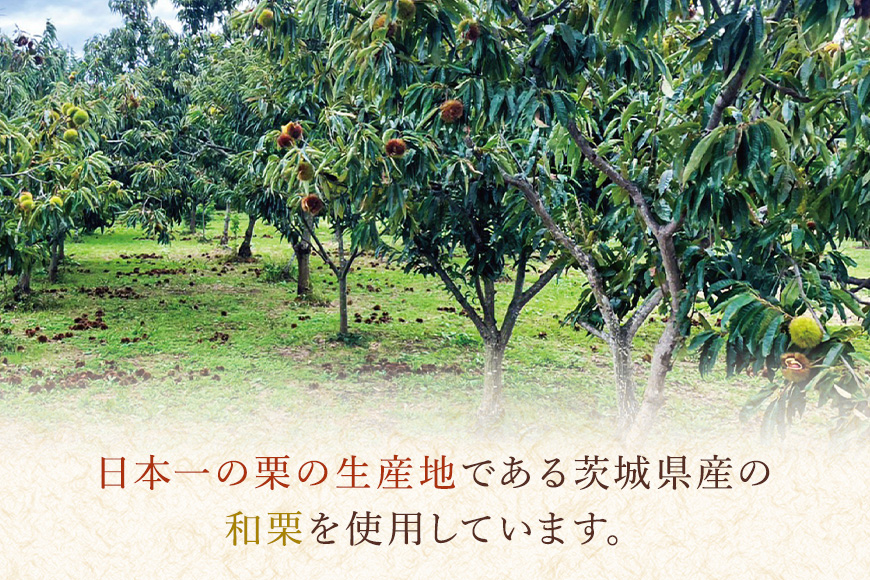 茨城県産 焼栗 12個セット 焼き栗 栗 国産 個包装 くり 和栗 甘栗 ギフト プレゼント 秋 旬 おやつ スイーツ 果物 フルーツ 電子レンジ レンジ調理 栗ご飯 栗ごはん 栗ジャム 栗きんとん モンブラン やきぐり 幸田商店 先行予約 笠間 茨城 いばらき
