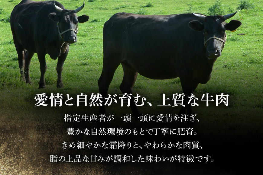 【和牛セレブ】常陸牛 肩ロースステーキ 200g×6枚 常陸牛 黒毛和牛 肉 牛肉 牛 冷凍 国産 お祝い 贈答 ギフト プレゼント 内祝い（茨城県共通返礼品） KM-044