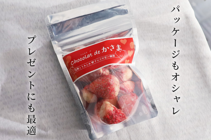 Chocolat de かさま おかしな果実ショコラ 完熟とちおとめの詰め合わせ