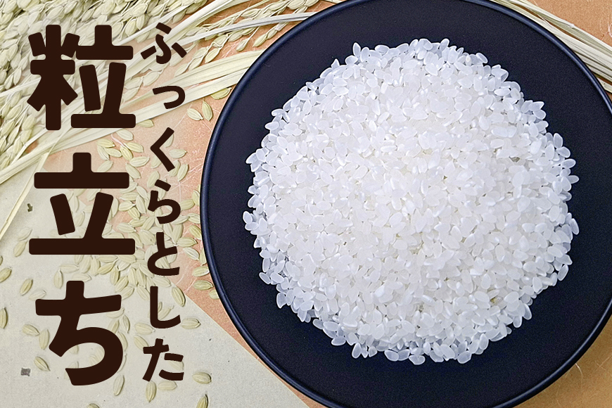 【3カ月定期便】 令和7年度 笠間産 コシヒカリ 10kg (10kg×3回 計30kg) 精米 定期便 米 白米 こめ コメ ご飯 ごはん 農家直送 産地直送 国産 茨城県 笠間市 青木商店 【6月末まで受付】