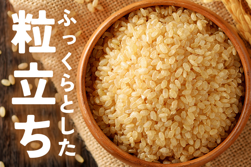 令和7年度 笠間市産 コシヒカリ 5kg 玄米 米 げんまい こめ コメ ご飯 ごはん 農家直送 産地直送 国産 茨城県 笠間市 青木商店 【8月末まで受付】