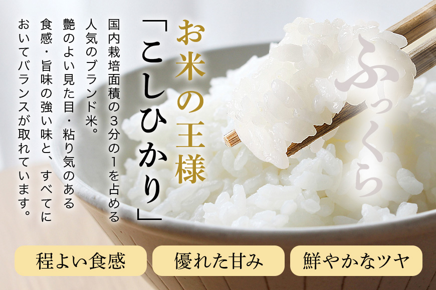 令和7年産 新米 コシヒカリ 米 10kg ( 5kg ×2 ） 白米 こめ こしひかり 国産 国産米 取り寄せ ごはん ご飯 コメ お取り寄せ お弁当 弁当 おにぎり 産地直送 特産  ギフト プレゼント 贈り物 茨城県 笠間市 いばらき