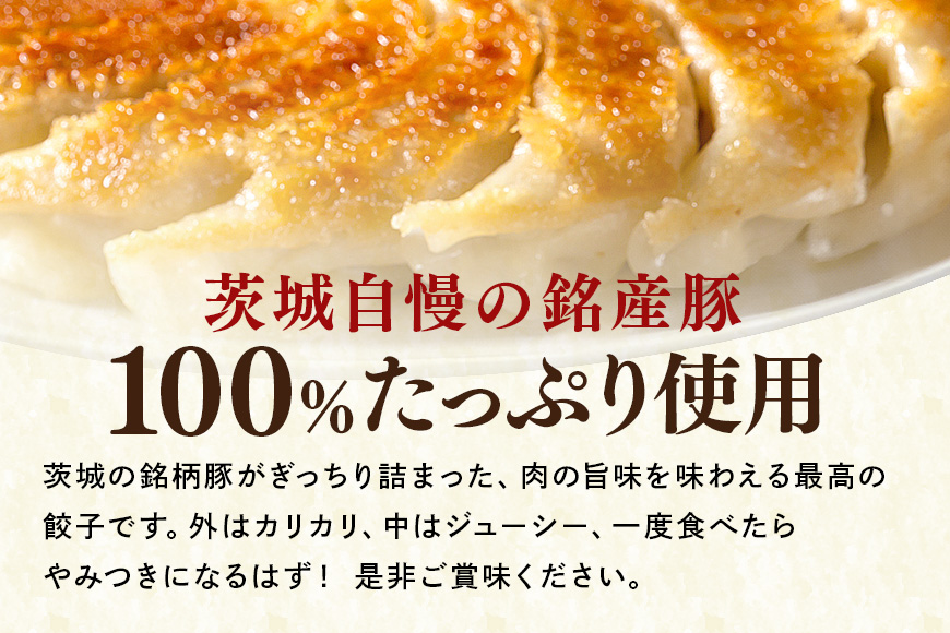 彩美亭 かさま餃子 ローズポーク100個