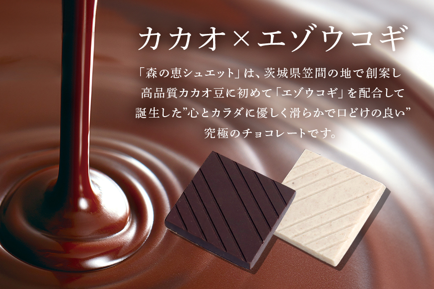 グッドヘルシーチョコ「森の恵」詰合せ24枚入り　≪スクエア≫