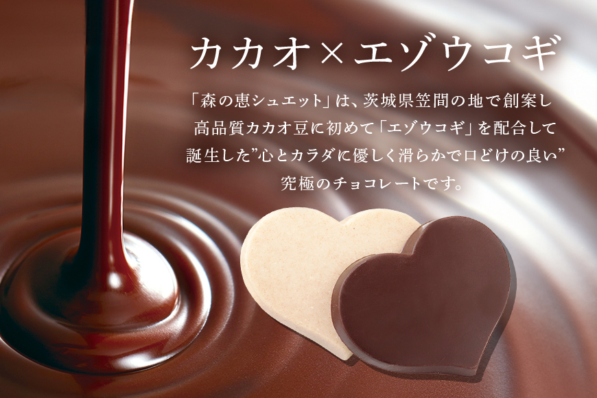 グッドヘルシーチョコ「森の恵」詰合せ24枚入り　≪ハート≫